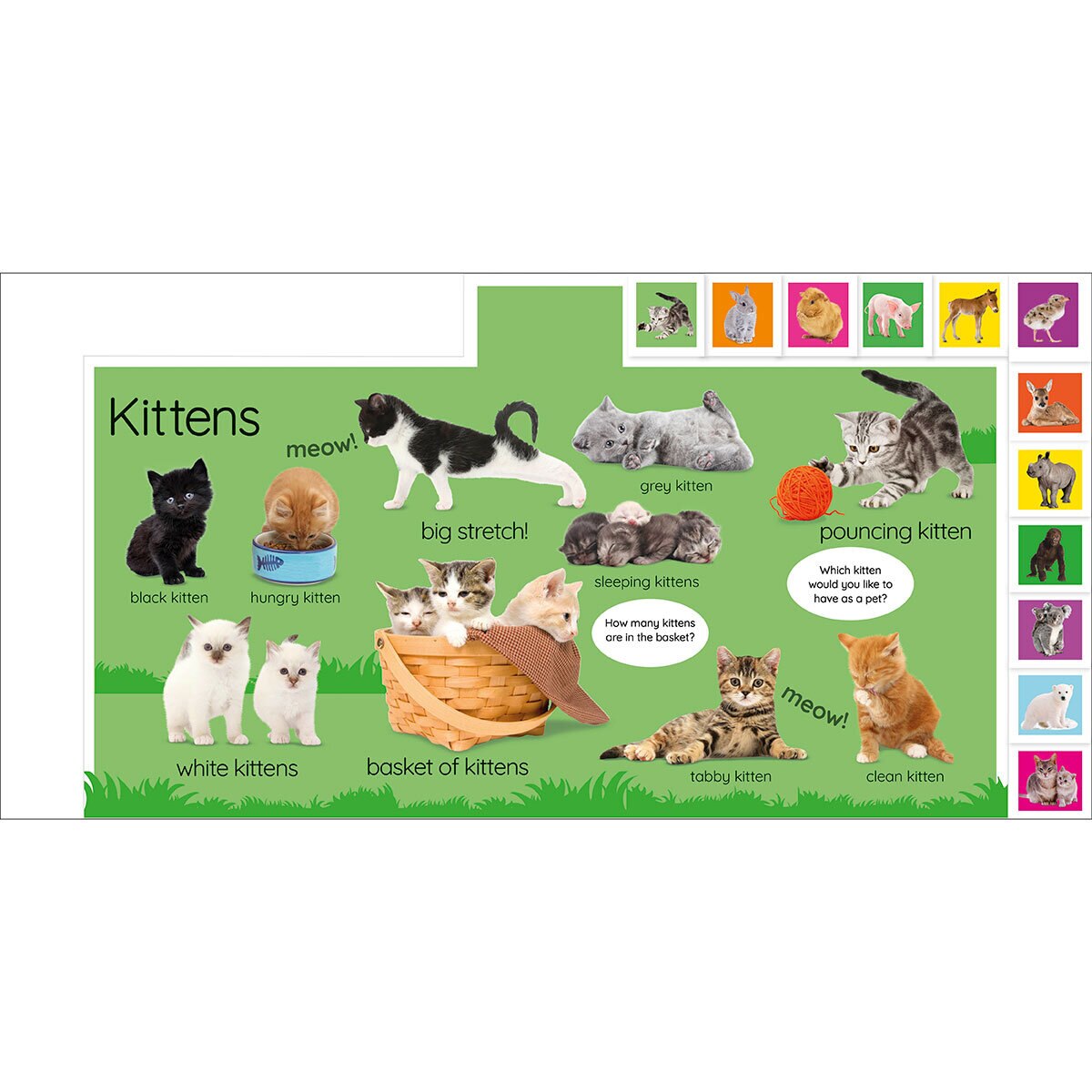 Kittens