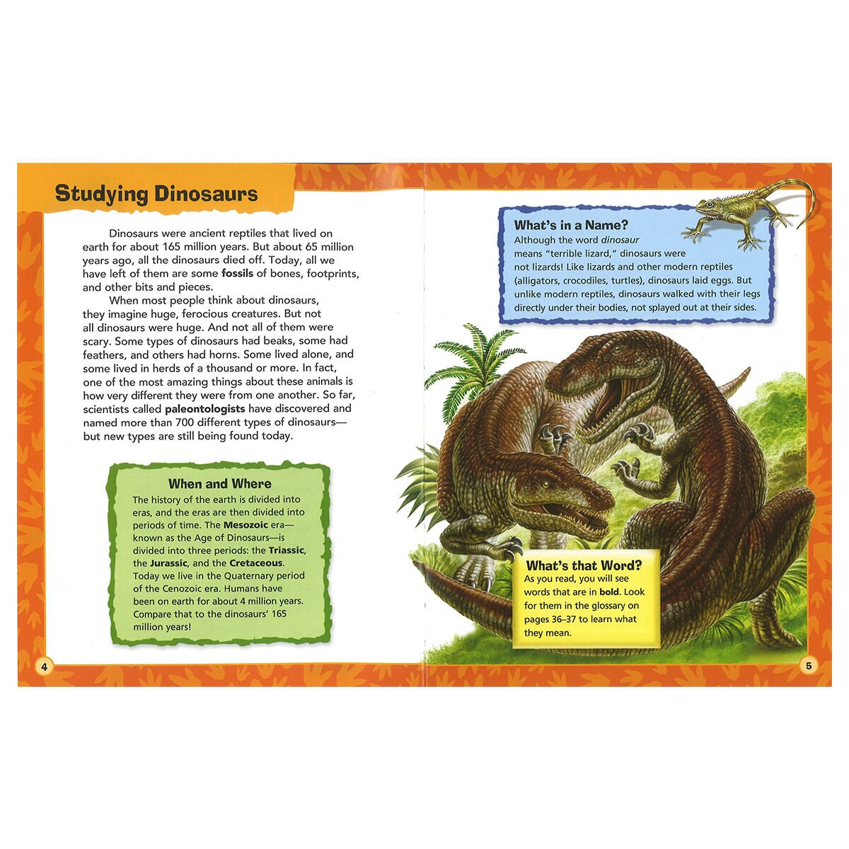 Dinosaur Shaped Adventure Box (3+ Years)