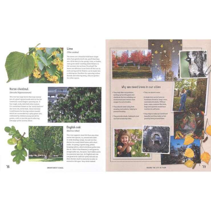 Page Spread Page Spread