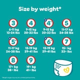 information on pampers baby dry pants size 9