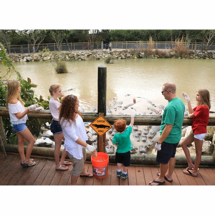 Everglades Alligator Farm and Airboat Ride