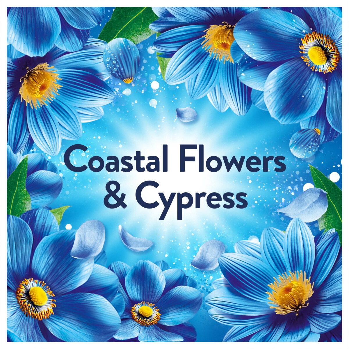 Coastal Flowers & Cypress