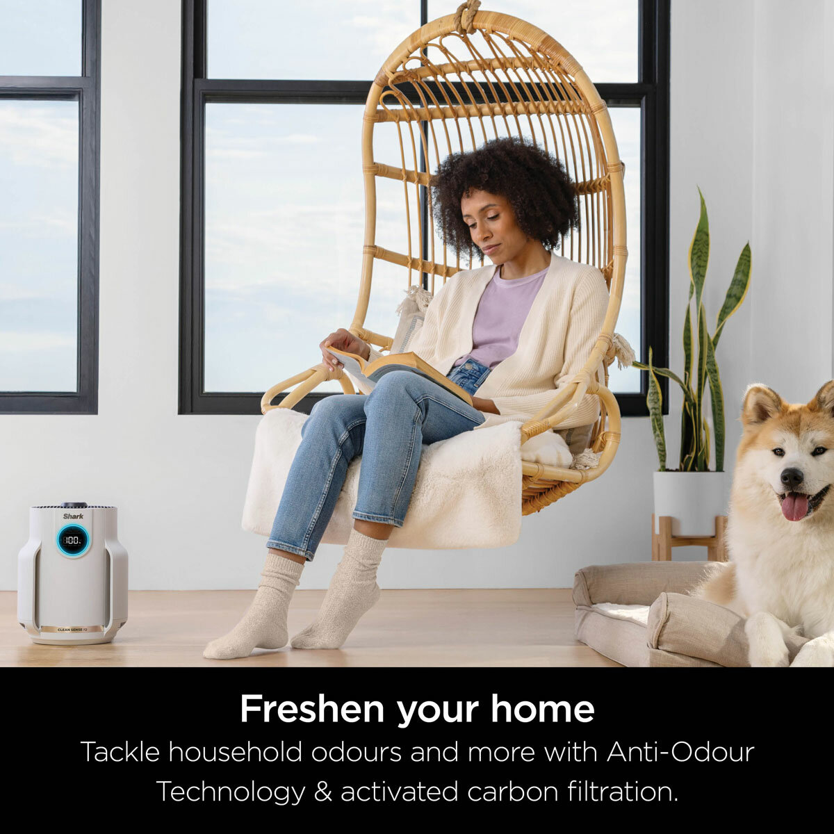 Lifestyle image of Shark NeverChange5 Air Purifier Compact Pro tackling household odours
