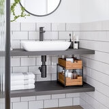 Seville 2 tier sliding bin organiser