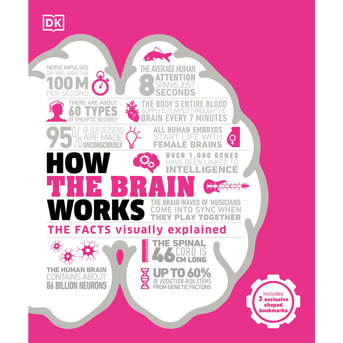 Front cover of  how the brain works