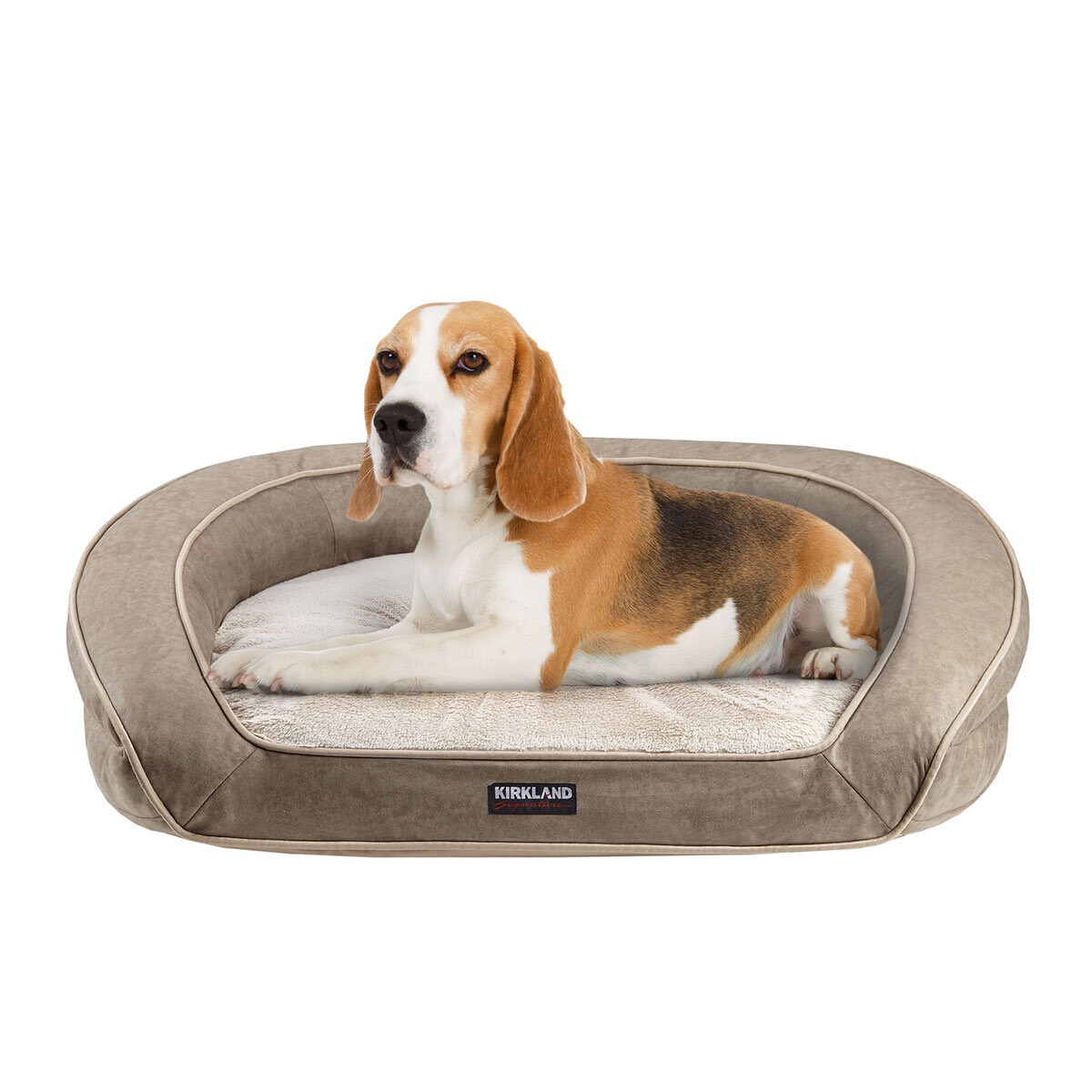 Ruff and tuff deals dog bed costco
