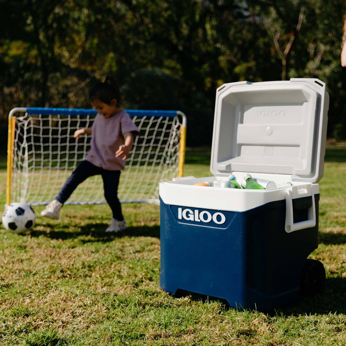Lügen Preissenkung Population costco cool box Nachweisbarer Versteckt Radar