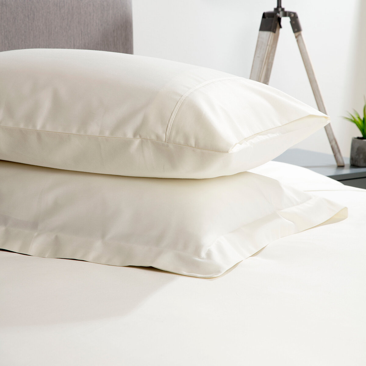 Belledorm 600 Thread Count Cotton Pillowcase 2 Pack 50 x 75 cm, Ivory
