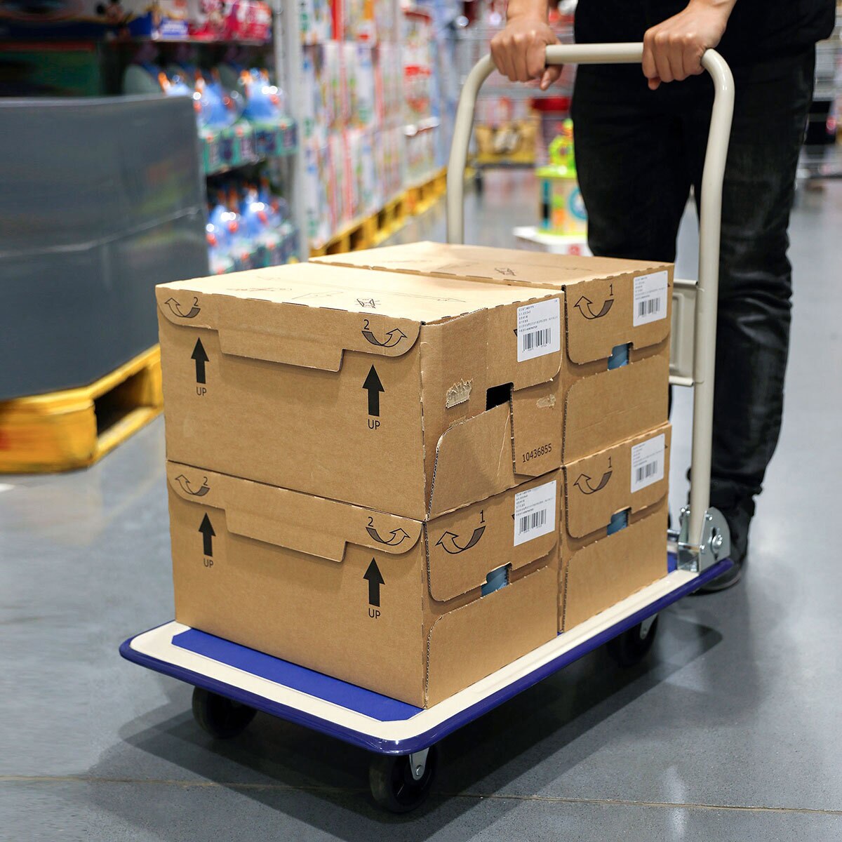 Global Targets 150kg Foldable Platform Truck