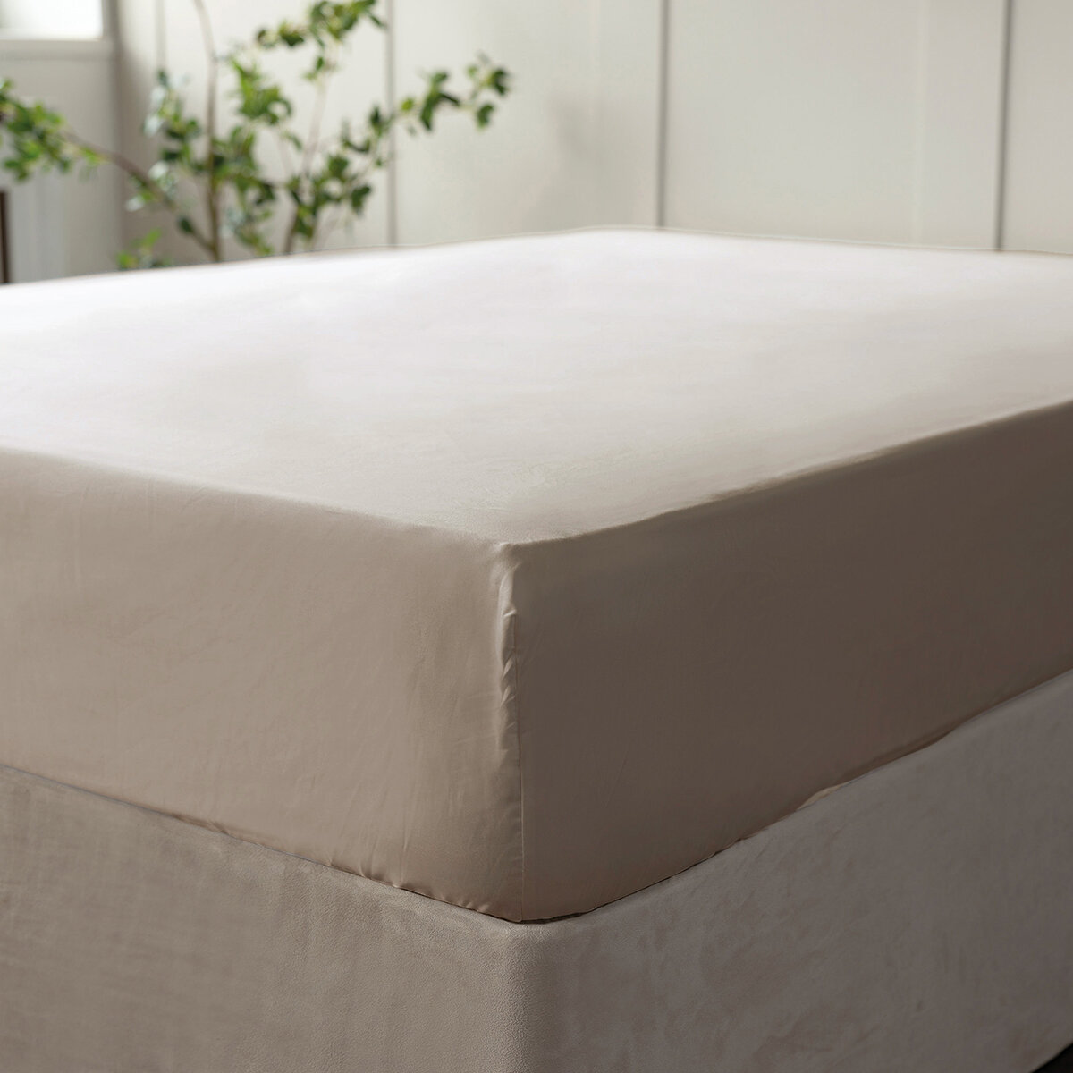 Belledorm 600 Thread Count Cotton Fitted Sheet in Taupe, Double