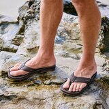 Flojos Mens Eves Flip Flop in Brown
