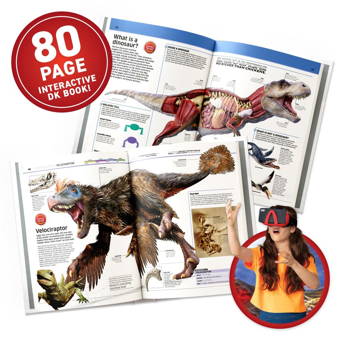 VR Box Set Dinosaur