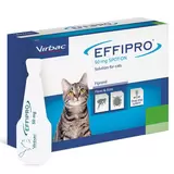 Cut out image of pack on white background angled facing