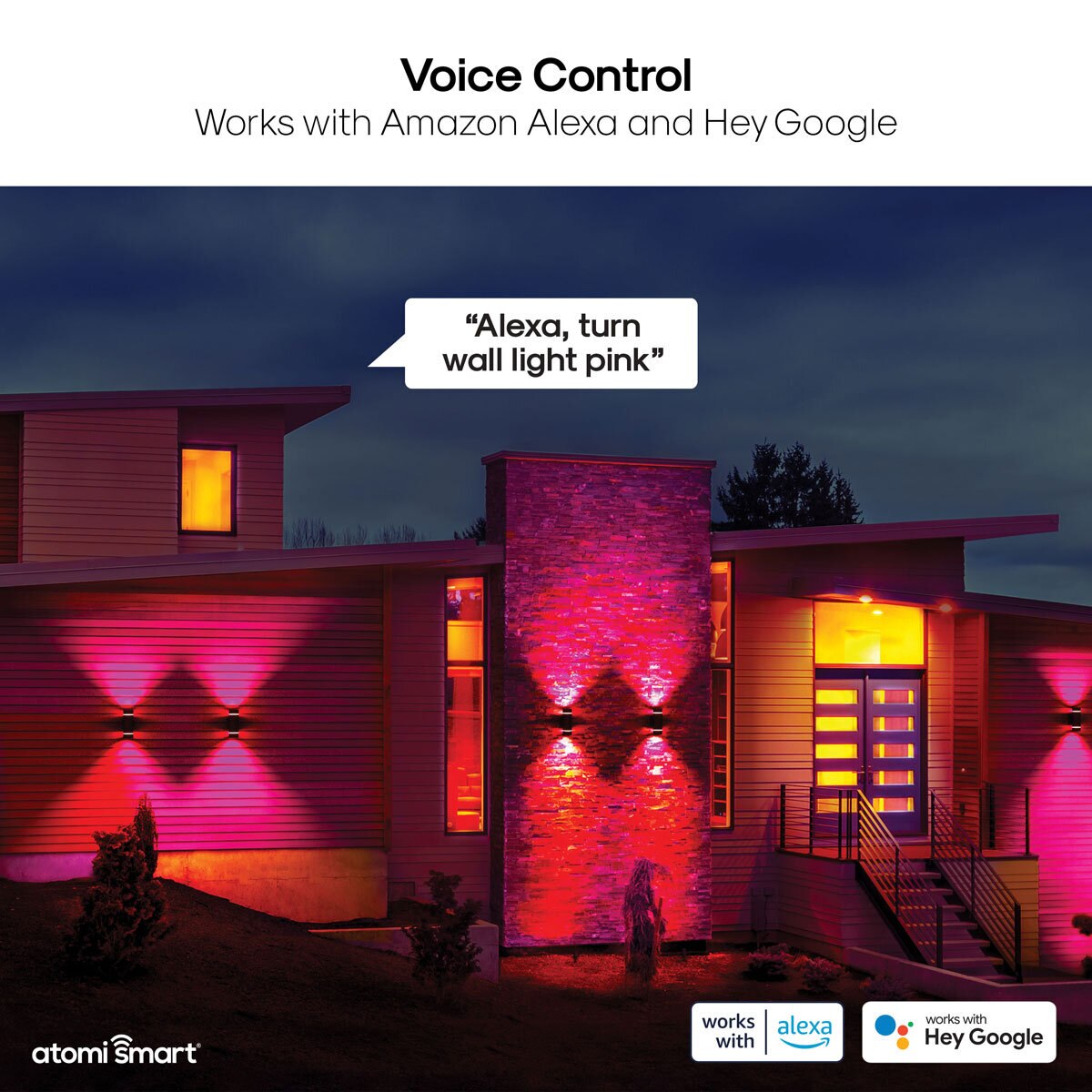 Voice control