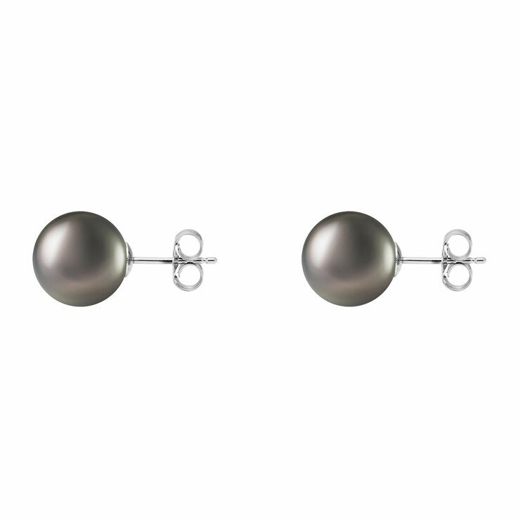 10-10.5mm Tahitian Pearl Earrings, 14ct White Gold 10-10.5mm Tahitian Pearl Earrings, 14ct White Gold