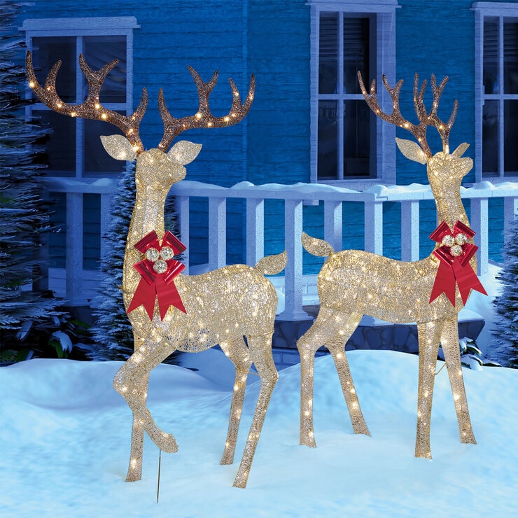 Indoor/Outdoor Christmas Reindeer Family Set of 2 Bucks With 650 LED