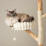 Cat Perching Cat Perching