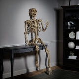 Halloween 7ft (2.1m) Poseable Skeleton Halloween 7ft (2.1m) Poseable Skeleton