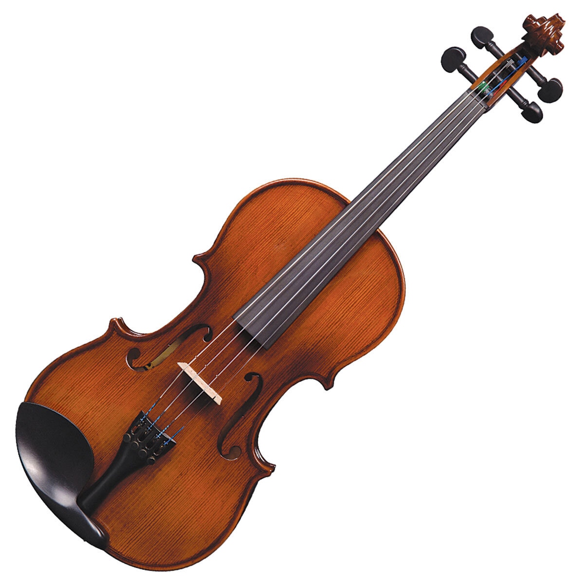 Full size violin