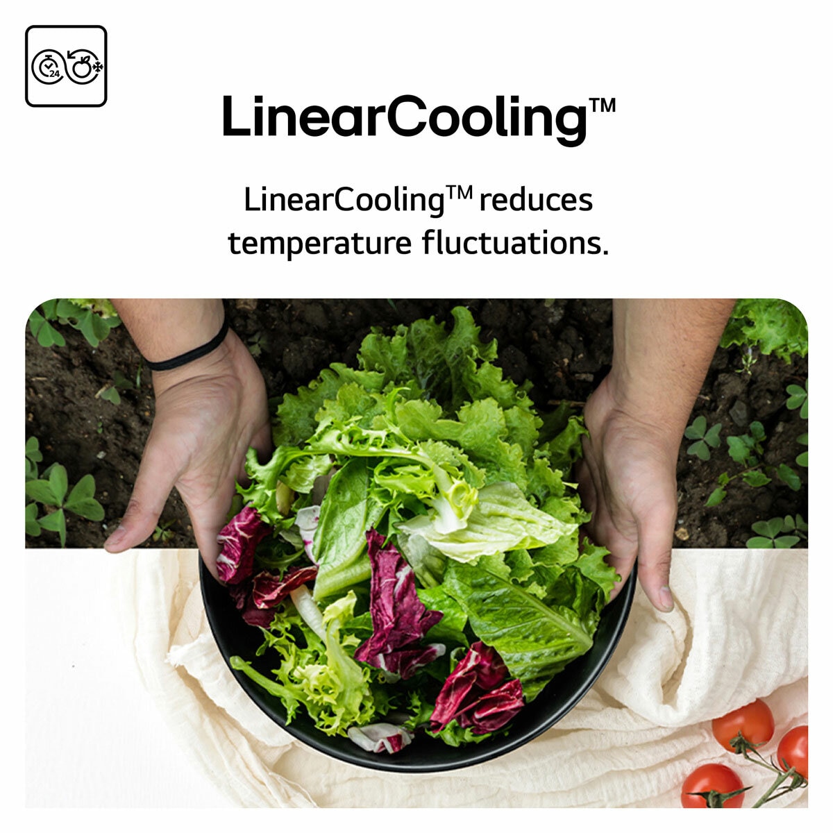 LG GBBSJ2CCPY 375L Fridge Freezer, E Rated in Silver