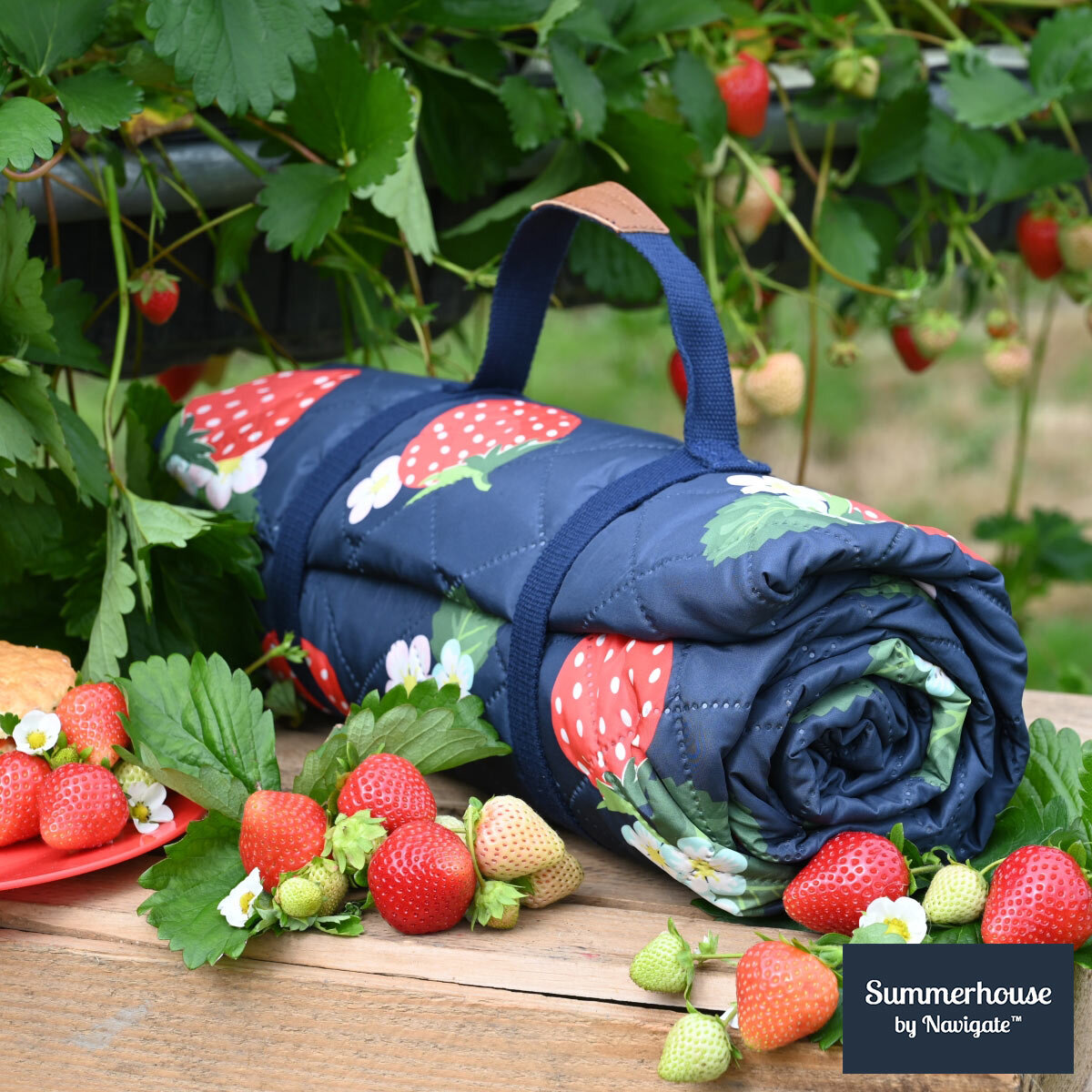 Navigate Strawberries & Cream Picnic Blanket, 175x140cm