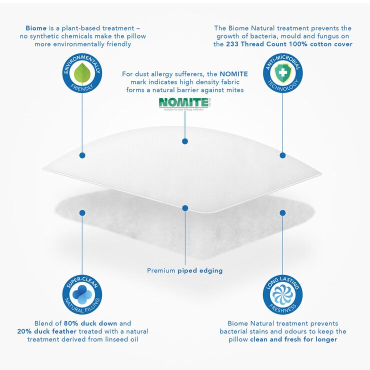 Clean & Healthy 2pk Pillow