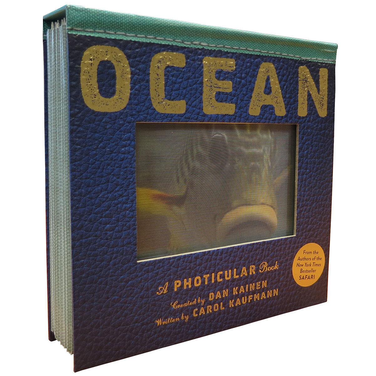 Ocean Cover 2