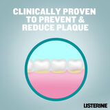 Prevent and Reduce Plaque