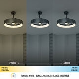 Warm white to cool white Artika Austin LED 23" Fandelier with downlight
