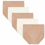 Carole Hochman Women's Seamless Brief 5 Pack in White