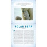 Polar: A Photicular Book
