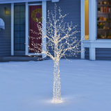 View of Fully Lit tree on a seasonal background