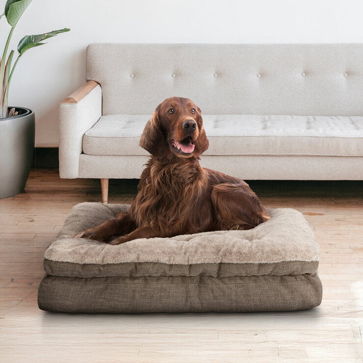 Kirkland Signature Pillow Top Gusseted Pet Bed, 32" x 42" (81.3 x 106.7cm) in 2 Options Kirkland Signature Pillow Top Gusseted Pet Bed, 32" x 42" (81.3 x 106.7cm) in 2 Options