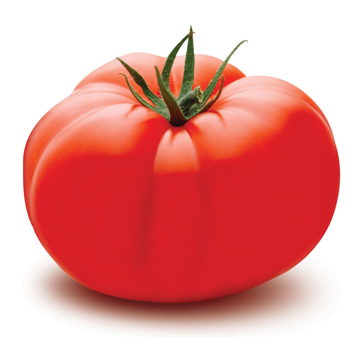 Beef Tomato