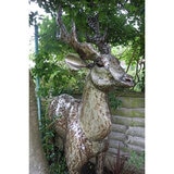 Lifesize Stag