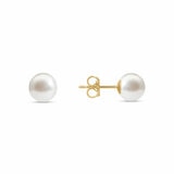 7.5-8mm Akoya White Pearl Earrings, 14ct Yellow Gold