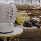 Lifestyle image of fan in the living room Lifestyle image of fan in the living room
