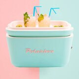 Polarbox 20 Litre (21 US QT) Retro Cool Box in 2 Colours