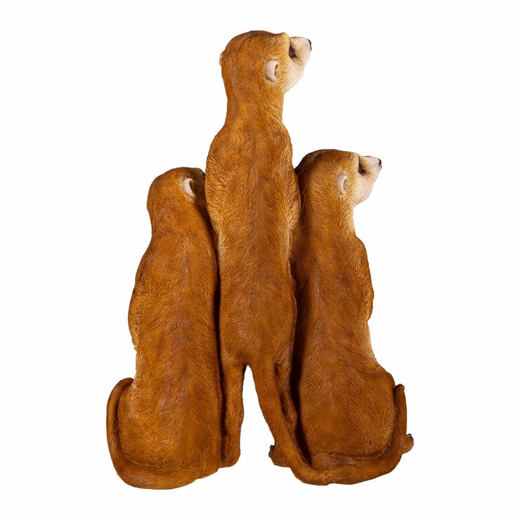 Meerkat