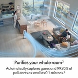 Lifestyle image of Dyson Purifier Hot+Cool HP1 Purifying Fan Heater purifying a room Lifestyle image of Dyson Purifier Hot+Cool HP1 Purifying Fan Heater purifying a room