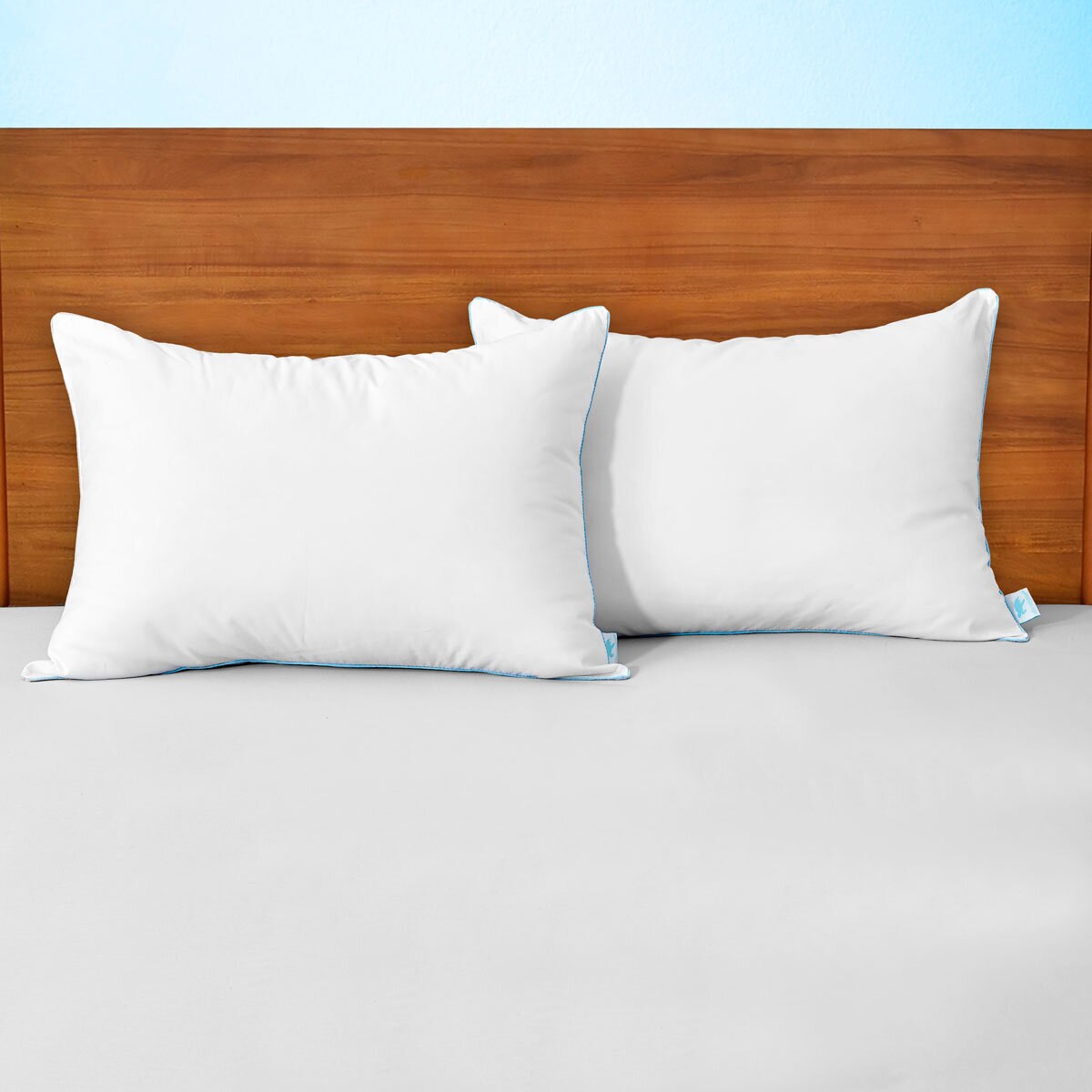 Allerease cheap jumbo pillow