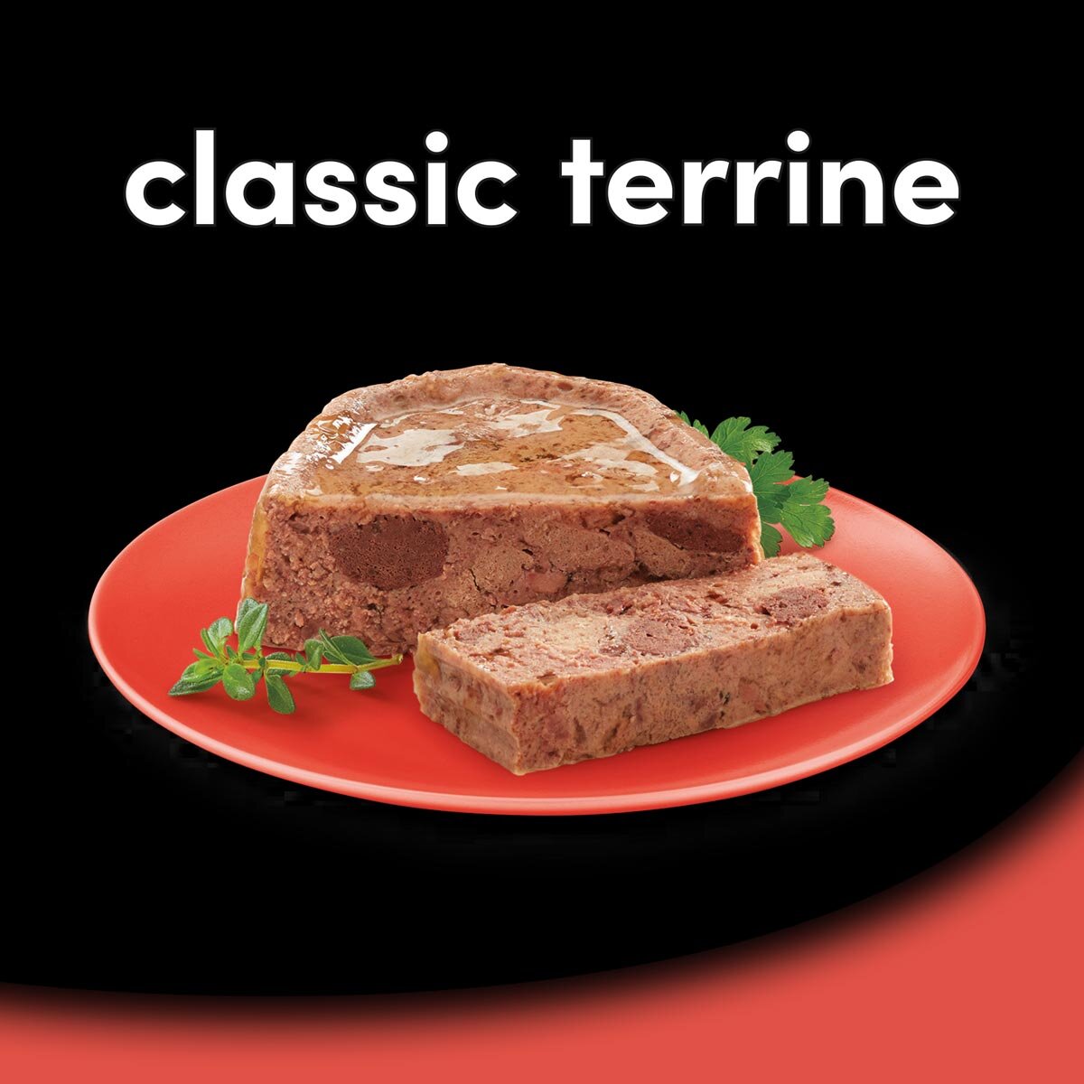 Lifestyle image of product on plate on back background