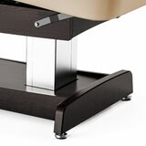 Master Massage Union Salon 78cm Dual Tower Electric Spa Bed