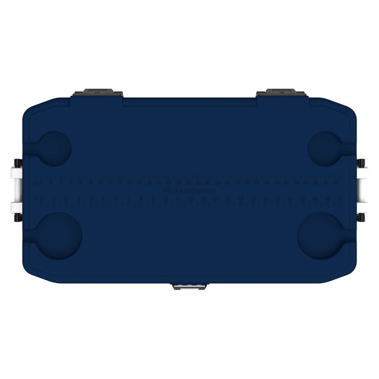 Igloo Maxcold 70qt Cooler