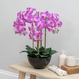 Artificial Orchid in Ceramic Pot in 2 Colours