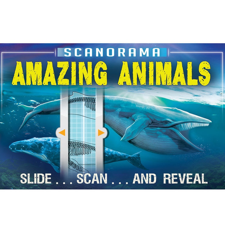 Amazing Animals Amazing Animals