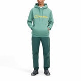 Berghaus Men's Logo Hoody in Green