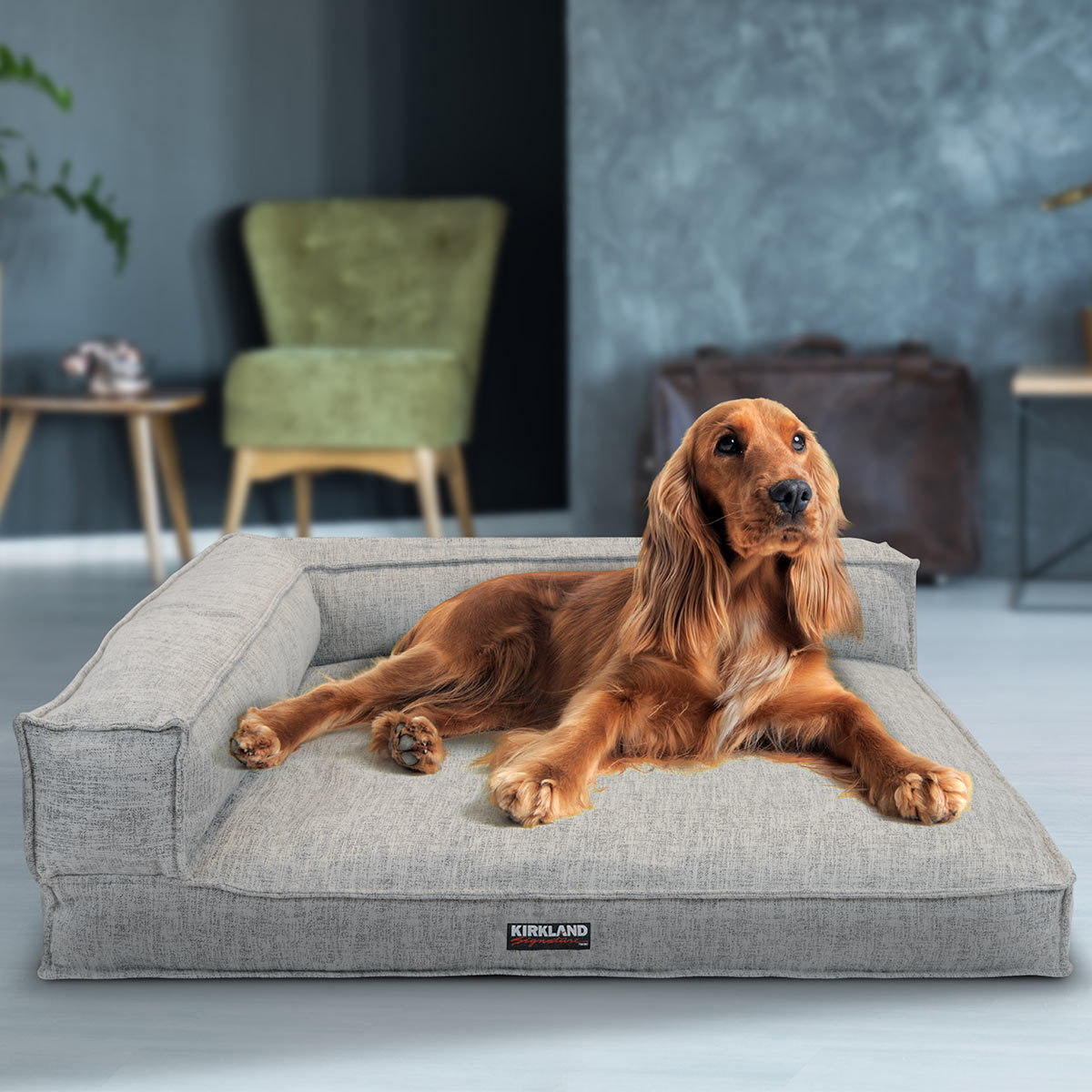 Kirkland Signature 36" x 42" (91.4 x 106.7 cm) Memory Foam Bolster Pet
