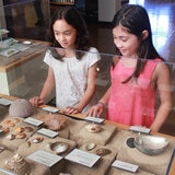 Go City San Diego Essentials Pass - San Diego Natural History Museum