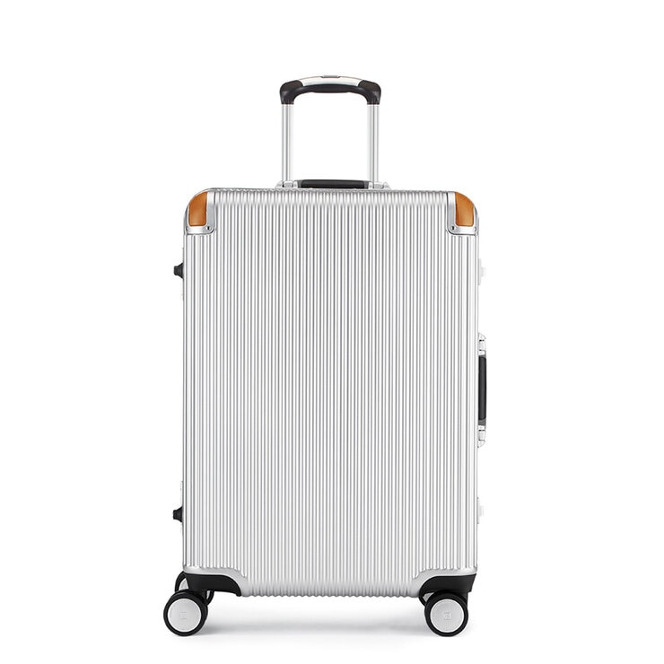 Swiss Military 60cm Medium Hardside Case in Silver